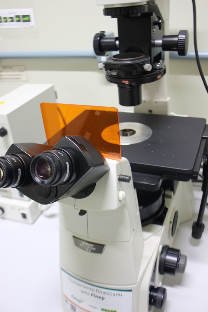 Microscópio Invertido com Fluorescência