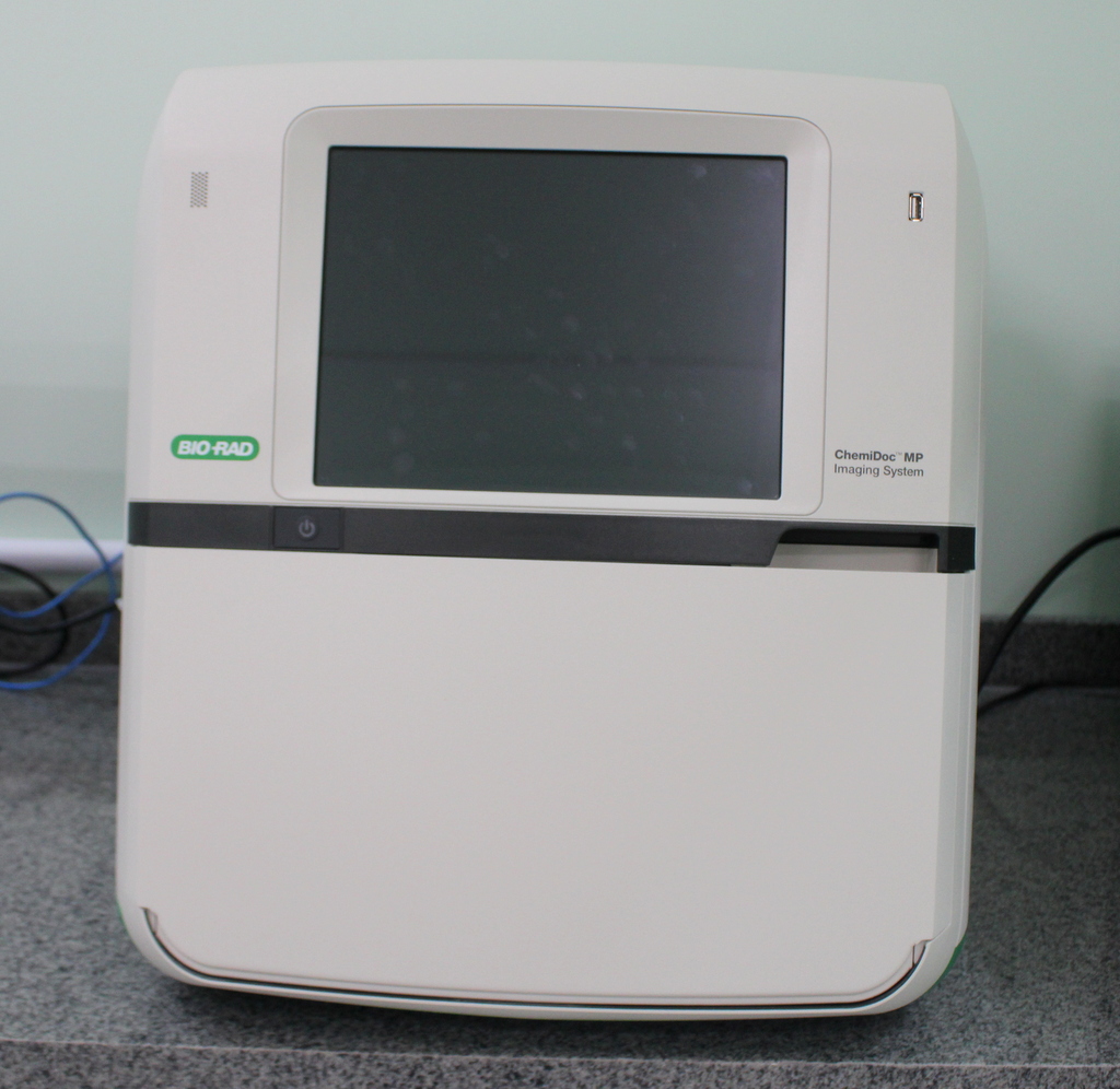 ChemiDoc