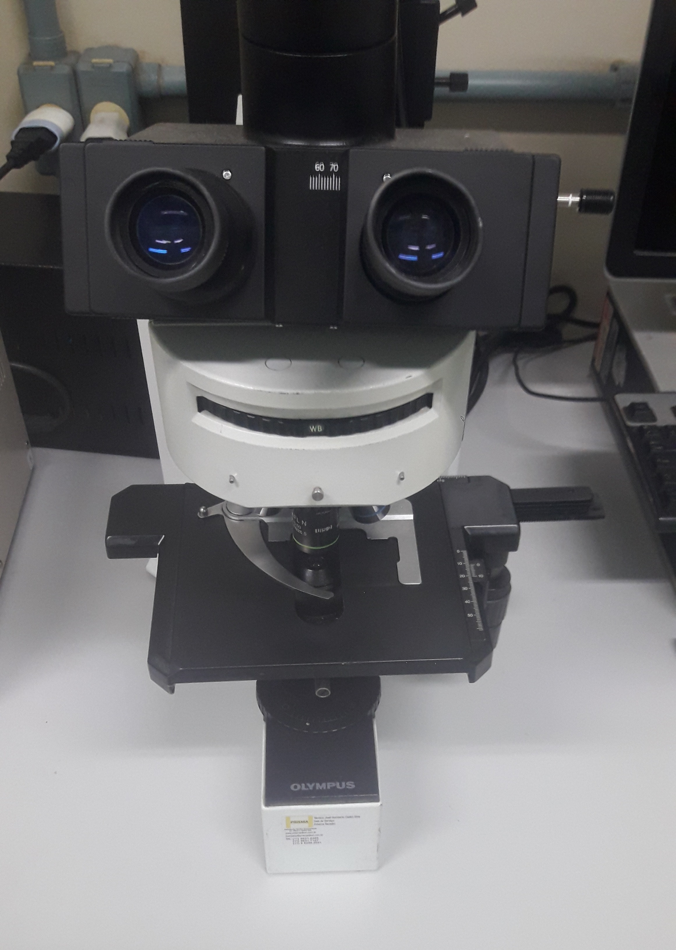 Microscópio com Fluorescência