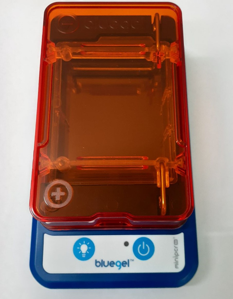 Sistema de Eletroforese Bluegel