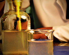 Iali - Instituto de alimentos