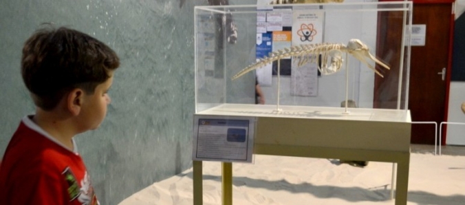 Crian�as do Centro Especializado em Reabilita��o visitam Museu de Zoologia da Unesc