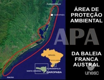 Experi�ncia de APA da Baleia Franca ser� abordada na abertura da Semana do Meio Ambiente