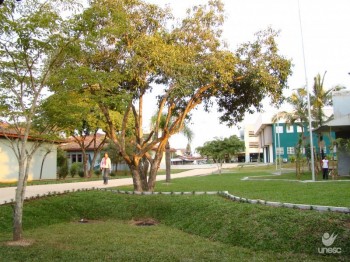 Acafe vai divulgar resultado do vestibular de inverno hoje (22)