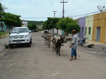 Contrastes: toyotas, jegues e urubus