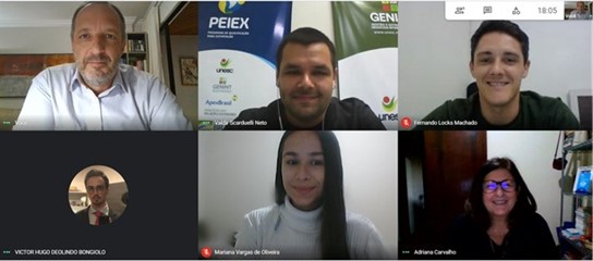 Equipe de projeto de extenso 