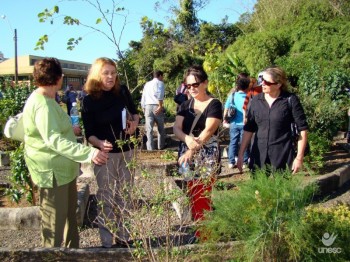 Voc� sabe usar as plantas medicinais para o combate da gripe e do resfriado?