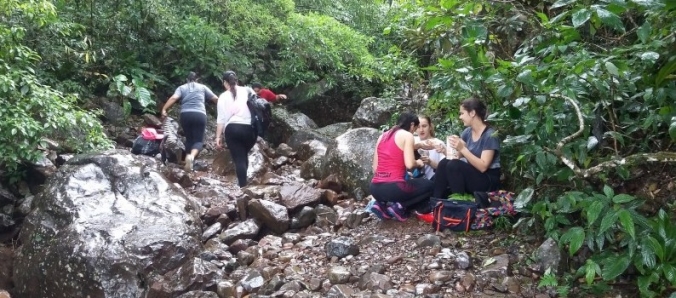 Estudantes de Pedagogia participam de atividade de campo em Praia Grande