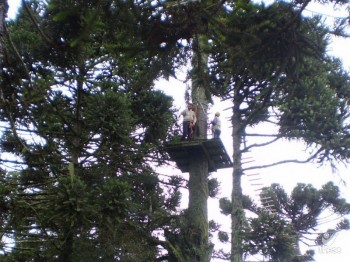 Alunos participam de imers�o em L�ngua Inglesa