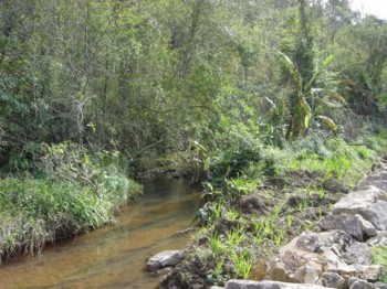 Pesquisa aponta efici�ncia da recupera��o ambiental de �reas degradadas pelo carv�o
