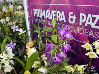 J  primavera na Unesc