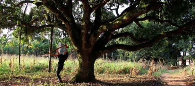 Curso de Artes Visuais traz artista premiada para Aula Inaugural