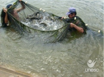 Professores aprovam projetos para estudar as atividades pesqueiras do sul do Estado