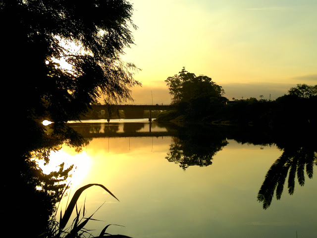 24 de novembro dia do rio