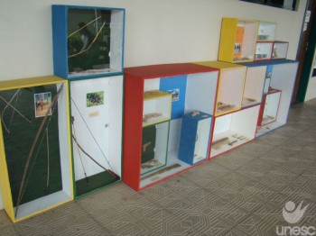 Exposi��o apresenta brinquedos de ind�genas do Amap�