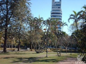 Disserta��o aborda import�ncia de �rvores nativas em pra�as de Crici�ma