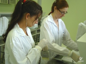 Pesquisadoras t�m trabalho cient�fico reconhecido por entidade nacional