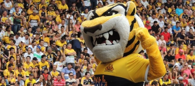 Unesc vai levar colaboradores ao jogo entre Crici�ma e Paysandu