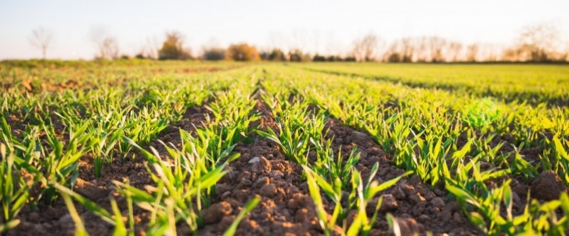 Unesc Ararangu promove Painel do Agronegcio do Extremo Sul Catarinense nesta quinta-feira