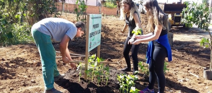 Plantas e flores ocupam local de descarte de lixo no Bairro Cristo Redentor