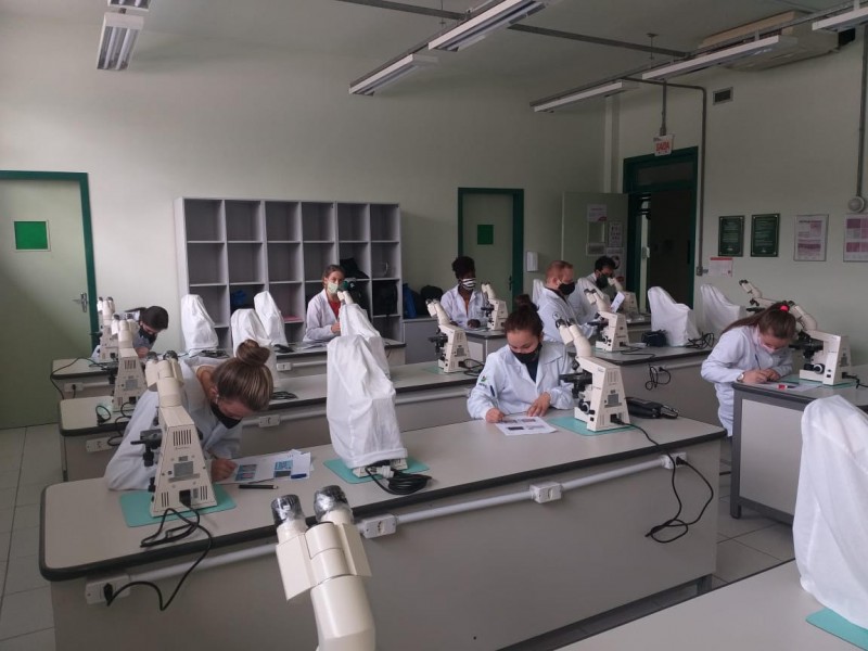 ACADMICOS DA 2 FASE DO CURSO DE FISIOTERAPIA TM AULA PRTICA NA DISCIPLINA DE EMBRIOLOGIA: TEMA DA AULA 