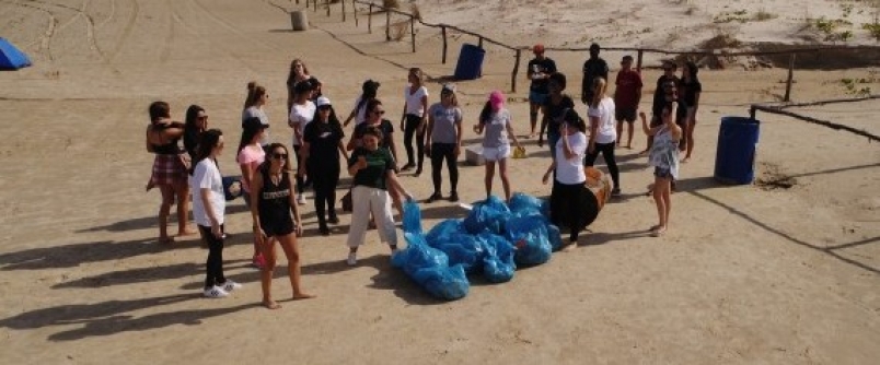 Engenharia Ambiental e Sanitria realiza ao social de coleta de lixo