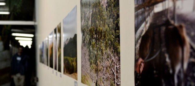 Exposi��o �Vias� traz olhar diferenciado do cotidiano