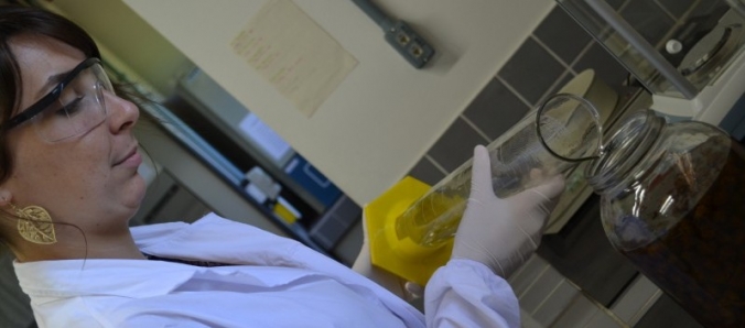 Processo seletivo para bolsa de Ps-Doutorado est aberto