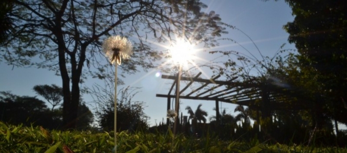 MEC avalia Unesc com nota m�xima em diversas categorias