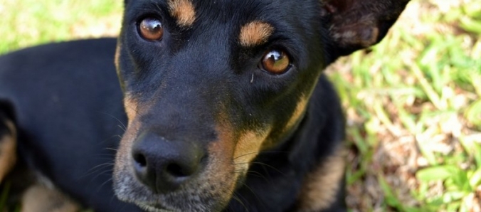 Unesc lan�a campanha �Tenha C�osci�ncia�