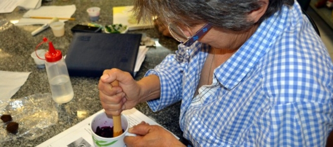 Grupo de Estudo ensina alunos a pintar com cores extra�das de vegetais