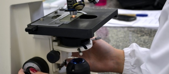 Unesc faz parte do grupo que avalia mestrados e doutorados brasileiros