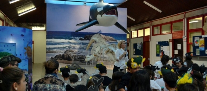 Universidade abre exposi��o �Uma Orca no Museu�