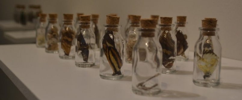 Sala Edi Balod recebe mostra art�stica �Cole��es, fragmentos e outros acasos�