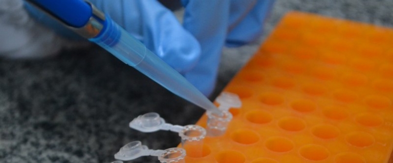 Inscries abertas para mestrados e doutorados da Unesc