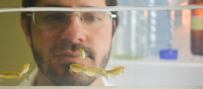 Unesc utiliza peixes em pesquisas cientficas