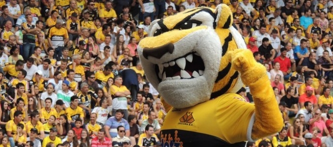 Promo��o Predestinado Tricolor sorteia ingressos para jogo do Tigre