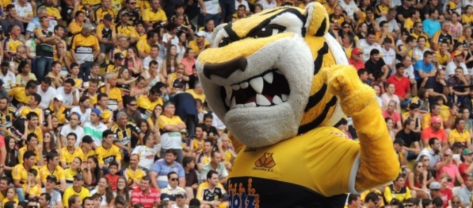 Colaboradores da Unesc v�o ao Est�dio Heriberto H�lse assistir Crici�ma e Figueirense