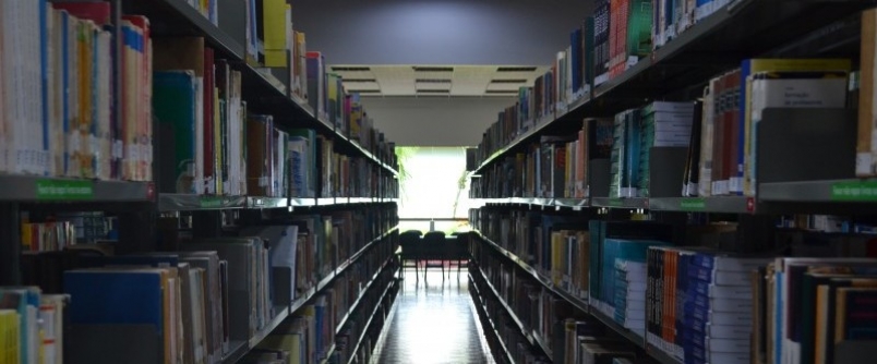 Dia Mundial da Educa��o: desafios impostos e import�ncia multiplicada