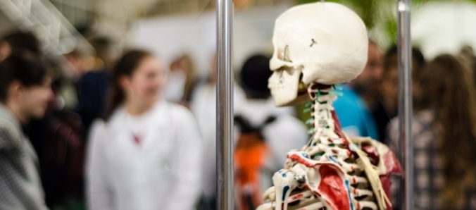 Feira das Profiss�es trar� 7 mil alunos � Unesc