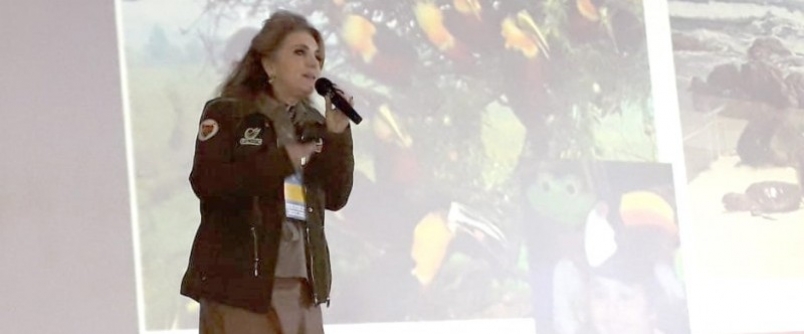 Museu de Zoologia participa do 5 Frum Catarinense de Museus