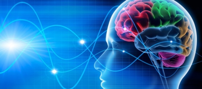 Leve a Neurolingu�stica para o seu dia a dia profissional