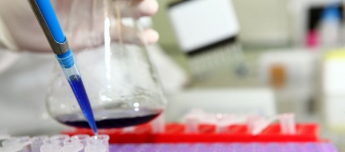 Mestrado e Doutorado em Cincias da Sade da Unesc entre os melhores do Brasil, segundo Capes