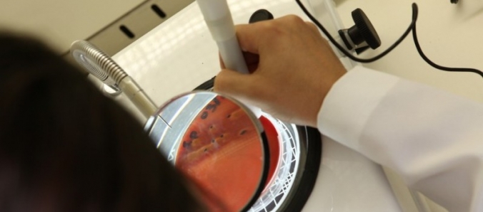 Microbiologia de alimentos ser� tratada em Aula Inaugural de Biomedicina