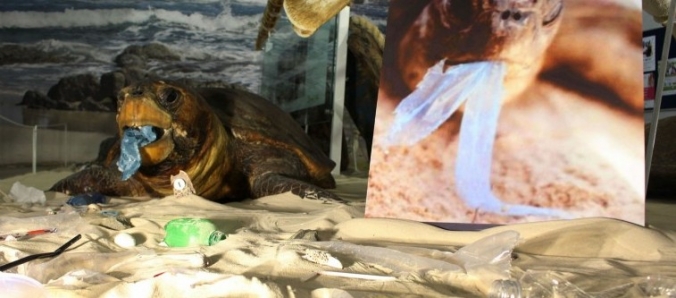 Exposi��o Ecossistema Marinho mostra os impactos da polui��o na biodiversidade dos oceanos na Unesc