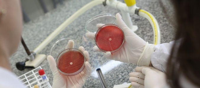 Vestibular ou SIM: Biomedicina da Unesc entre os melhores cursos da �rea