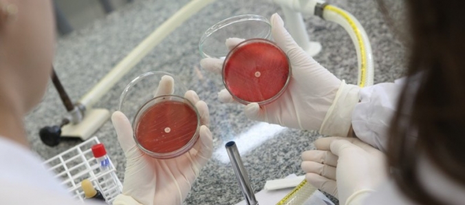 Est�gios, pesquisas e bolsas beneficiam alunos da Unesc durante a gradua��o