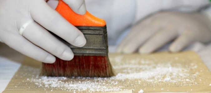 Hist�rias reformadas: Unesc disponibiliza restaura��o de livros, documentos e fotos