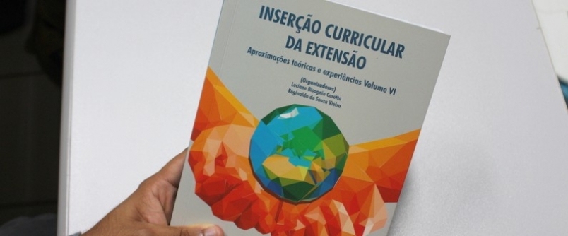 EdiUnesc lana livro organizado por Luciane Bisognin Ceretta e Reginaldo de Souza Vieira
