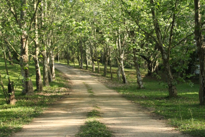 A disciplina Laborat�rio de Imagem e Som faz sa�da de campo para inspirar a produ��o de um curta metragem